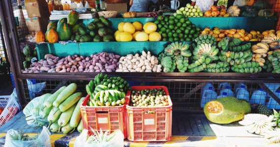 Frutos de otoño, frutas de otoño, frutas temporada, frutos de temporada, alimemtos de temporada
