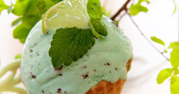 stevia, edulcorante, dieta, dieta online